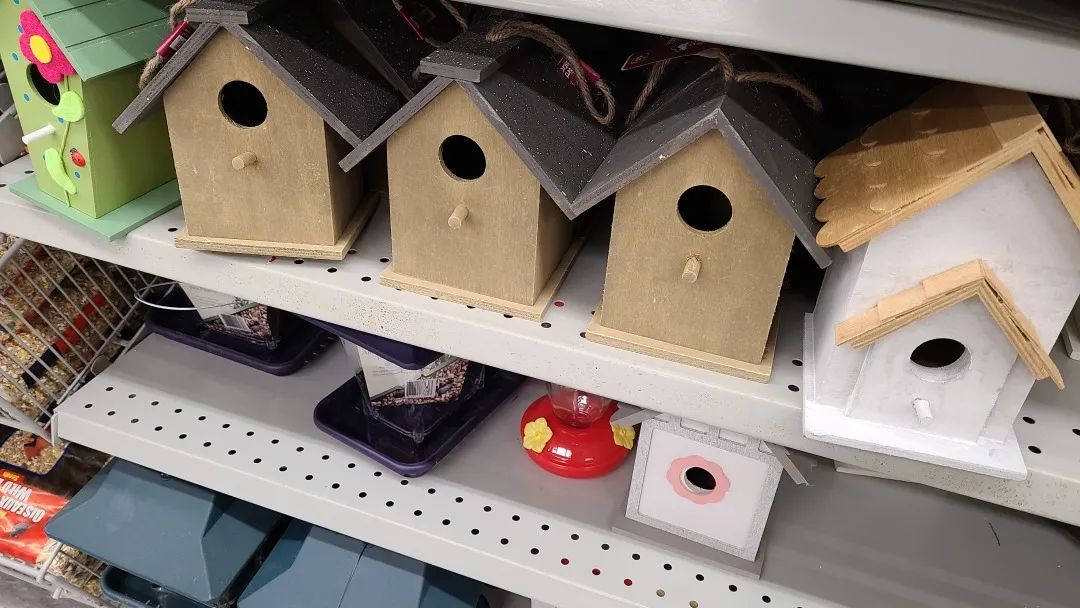 探店Dollarama：“霸道总裁”一枝花逛一元店，反向带货？