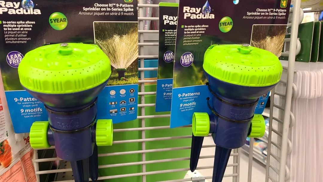 探店Dollarama：“霸道总裁”一枝花逛一元店，反向带货？