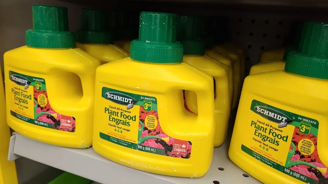 探店Dollarama：“霸道总裁”一枝花逛一元店，反向带货？