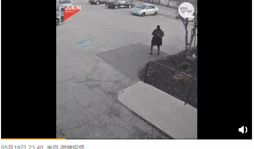 大鹅吊打团灭两头猛虎！能战胜大鹅真的只有铁锅了吗？