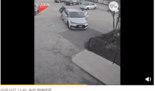 大鹅吊打团灭两头猛虎！能战胜大鹅真的只有铁锅了吗？