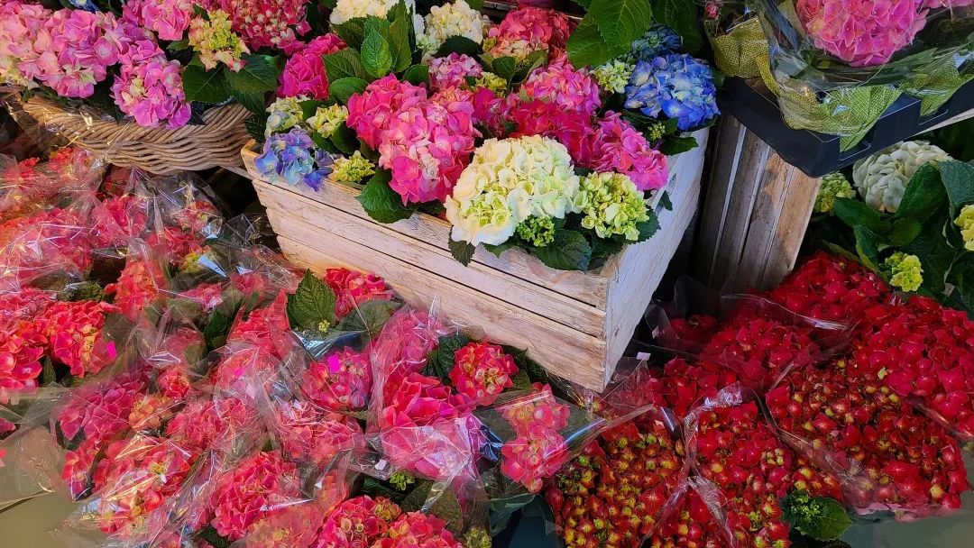 把超市玩成网红打卡地：深度探店高颜值超市Village Grocer