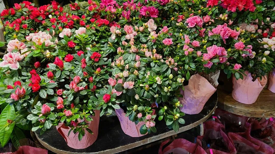 把超市玩成网红打卡地：深度探店高颜值超市Village Grocer