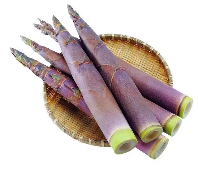 “山上的笋都被你夺完了”！春天就是吃笋的季节！