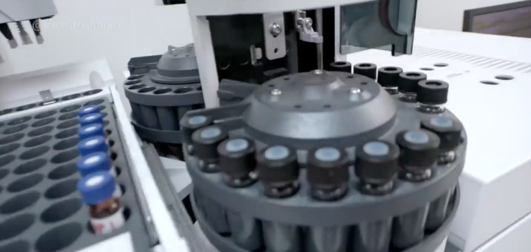 有机鸡蛋更有营养？测试了14种鸡蛋，又交智商税了吗......