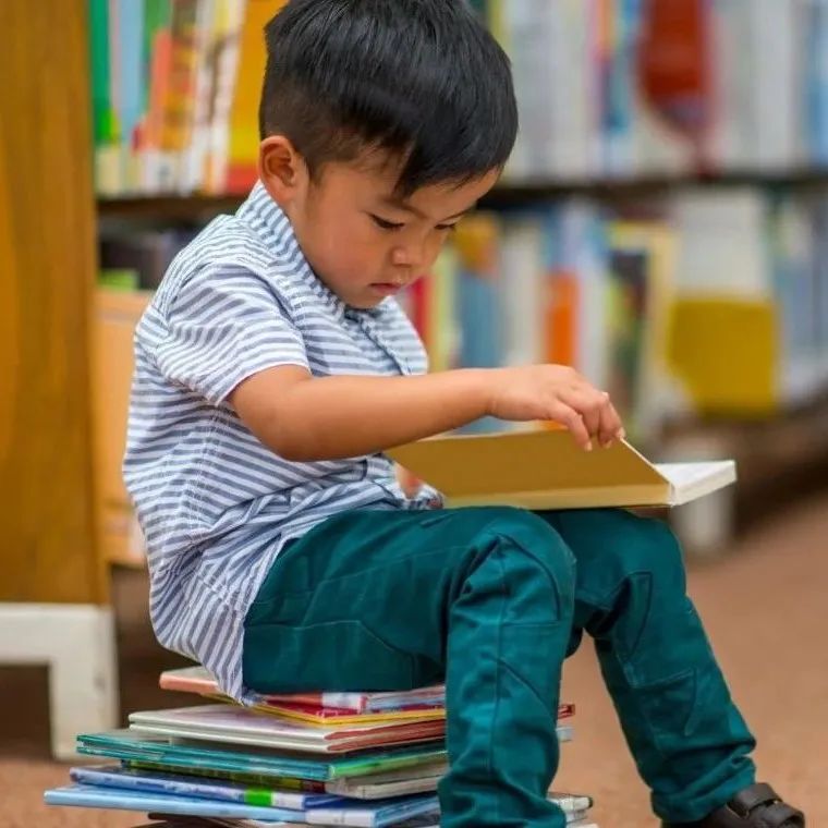 抓3只浣熊花了1200刀，每天都在被干脆面教育重新做人！