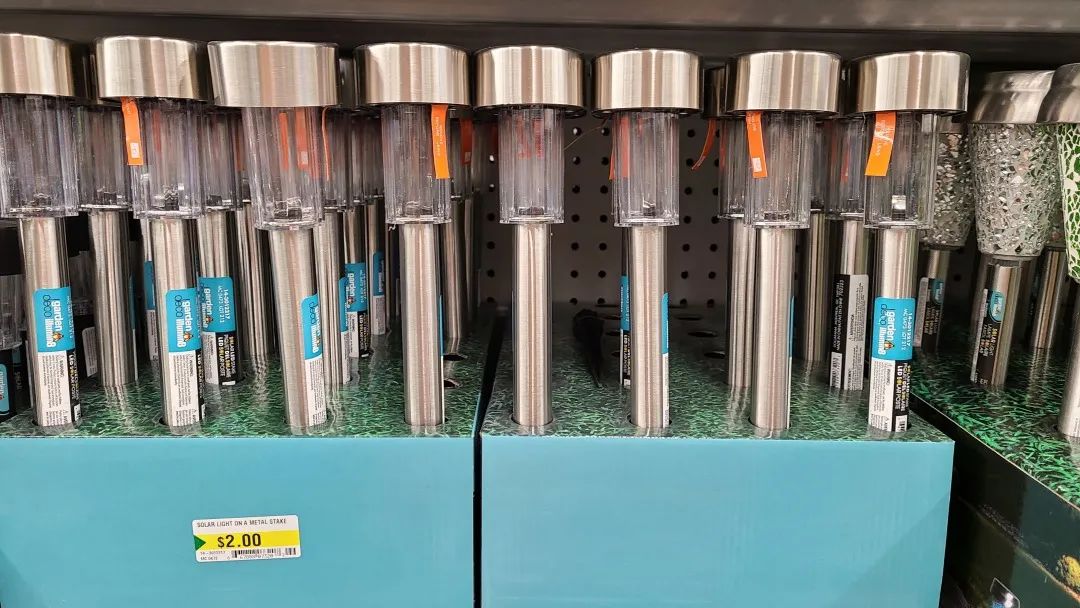 探店Dollarama：“霸道总裁”一枝花逛一元店，反向带货？