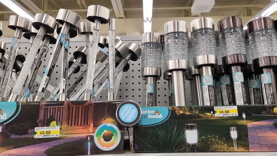 探店Dollarama：“霸道总裁”一枝花逛一元店，反向带货？