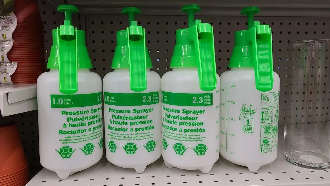 探店Dollarama：“霸道总裁”一枝花逛一元店，反向带货？