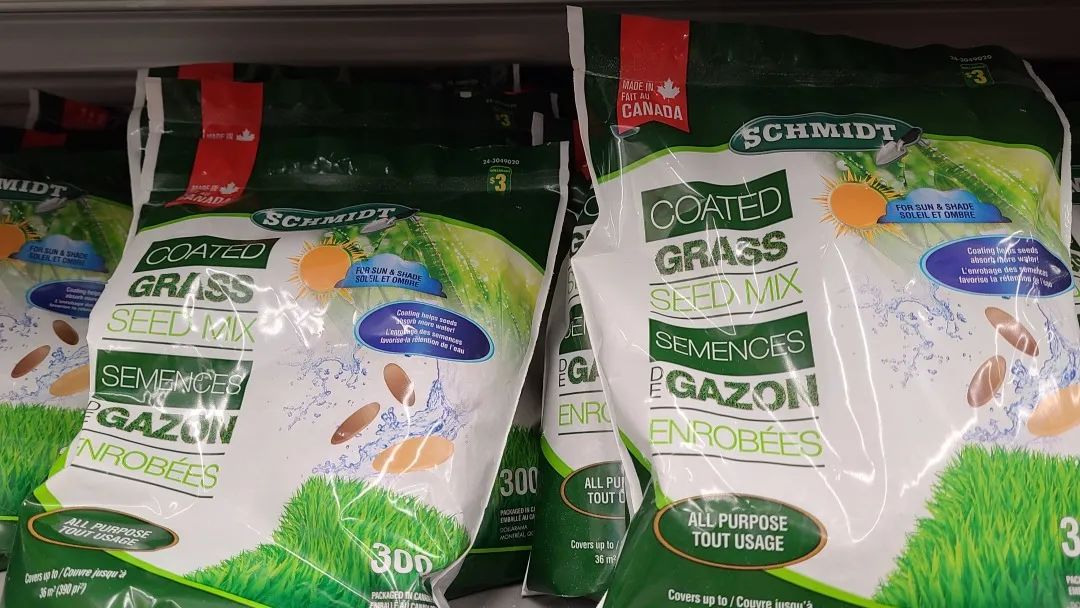 探店Dollarama：“霸道总裁”一枝花逛一元店，反向带货？