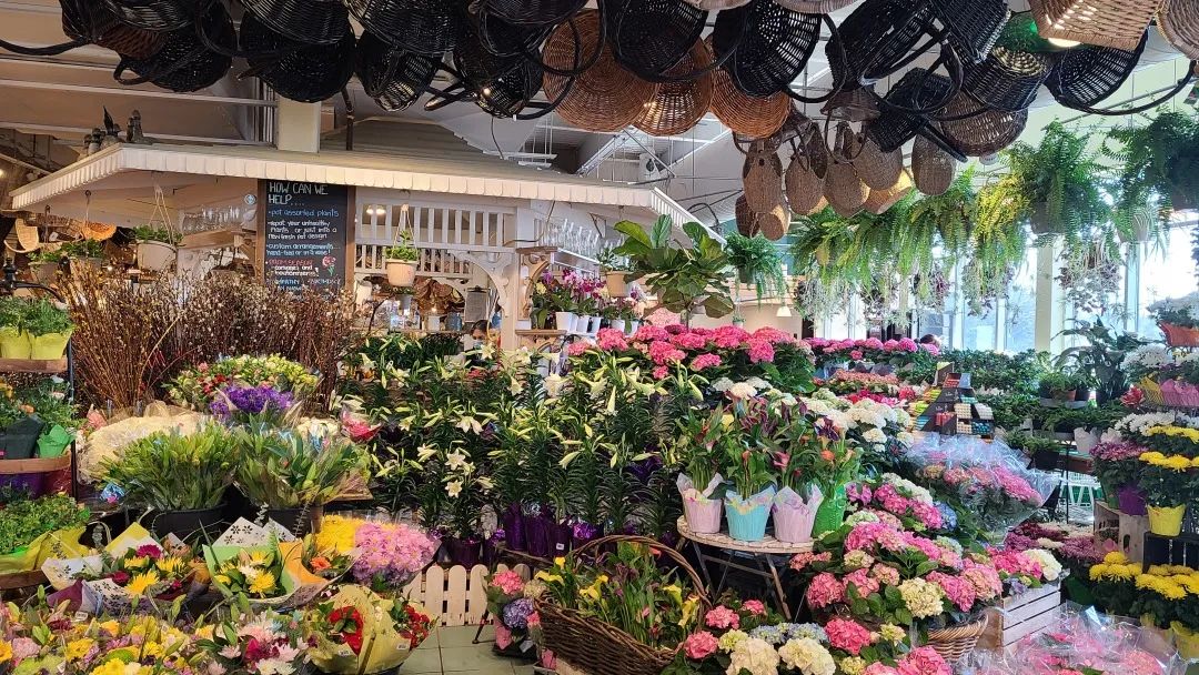 把超市玩成网红打卡地：深度探店高颜值超市Village Grocer