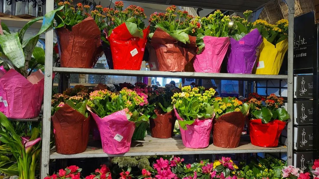 把超市玩成网红打卡地：深度探店高颜值超市Village Grocer