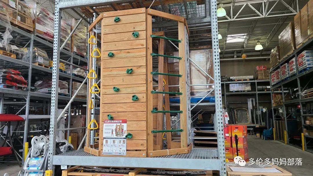 【探店】审美在线的Low's高颜值铁线莲、玫瑰、绿植上架，海量细节生图曝光