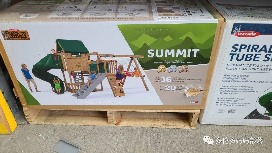 【探店】审美在线的Low's高颜值铁线莲、玫瑰、绿植上架，海量细节生图曝光