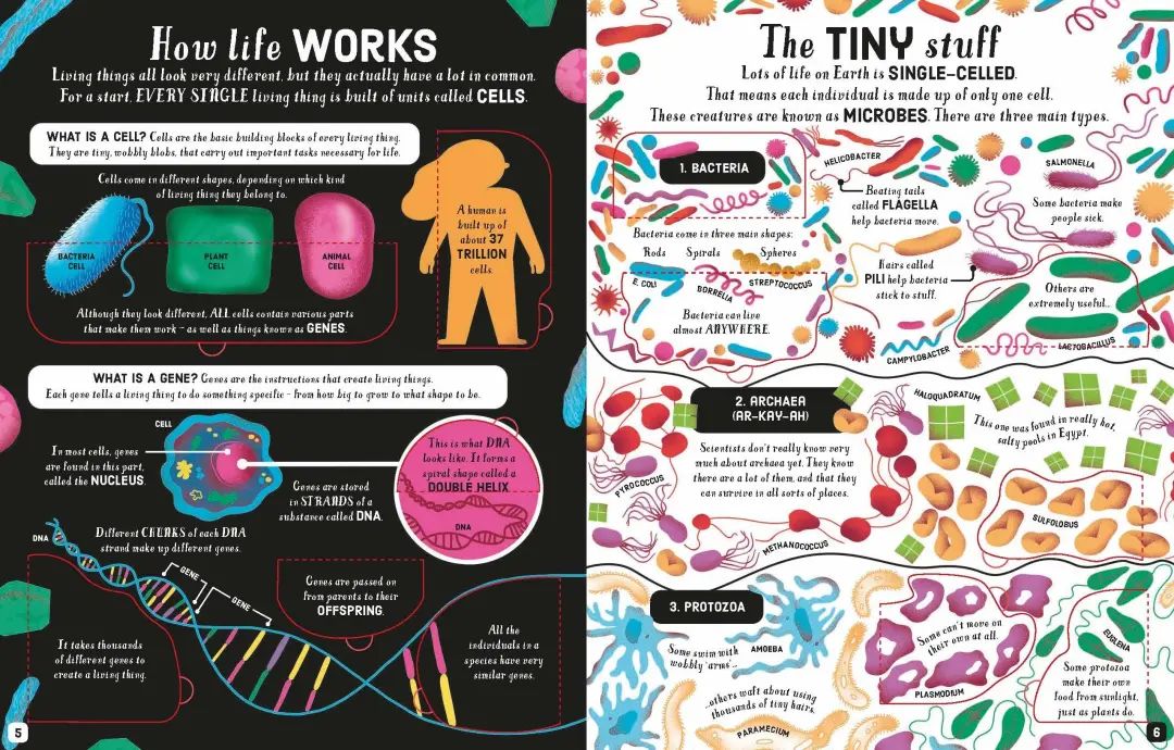 Indigo捡漏：Usborne气球社童书买二送一！闭眼入！