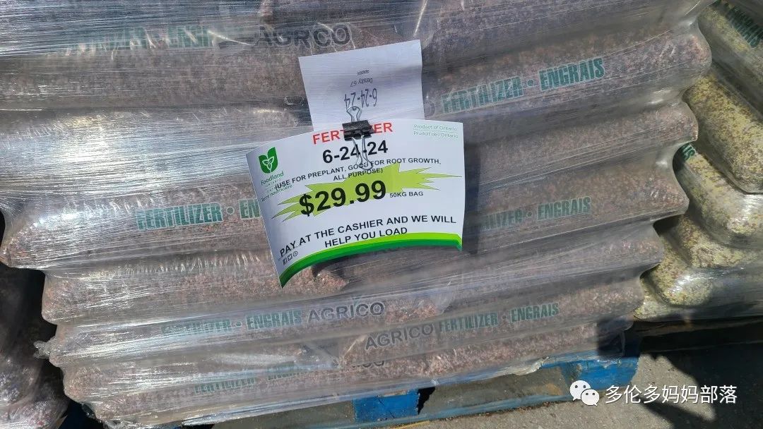 “菜根花大宝贝”探店19街农场菜园子：菜苗又绿又便宜，粪土又肥又多样！