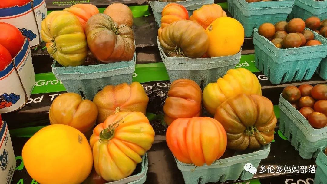 “菜根花大宝贝”探店19街农场菜园子：菜苗又绿又便宜，粪土又肥又多样！