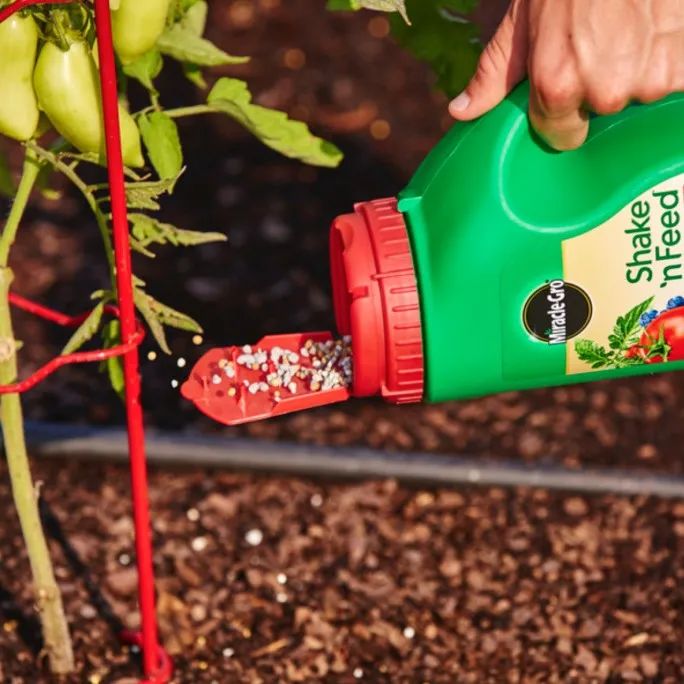 “看起来很好吃！” 撸一撸那些有毒的野菜野果野蘑菇：别瞎薅！