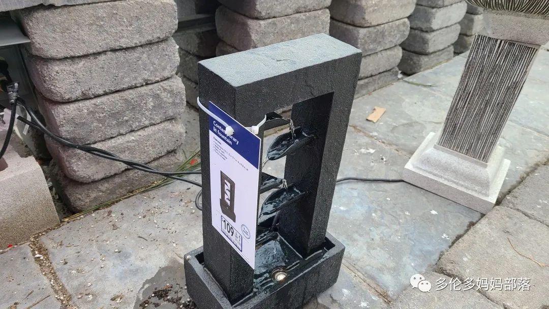 【探店】审美在线的Low's高颜值铁线莲、玫瑰、绿植上架，海量细节生图曝光