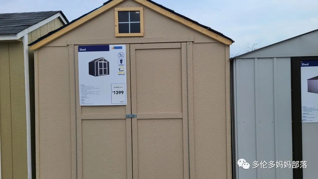 【探店】审美在线的Low's高颜值铁线莲、玫瑰、绿植上架，海量细节生图曝光