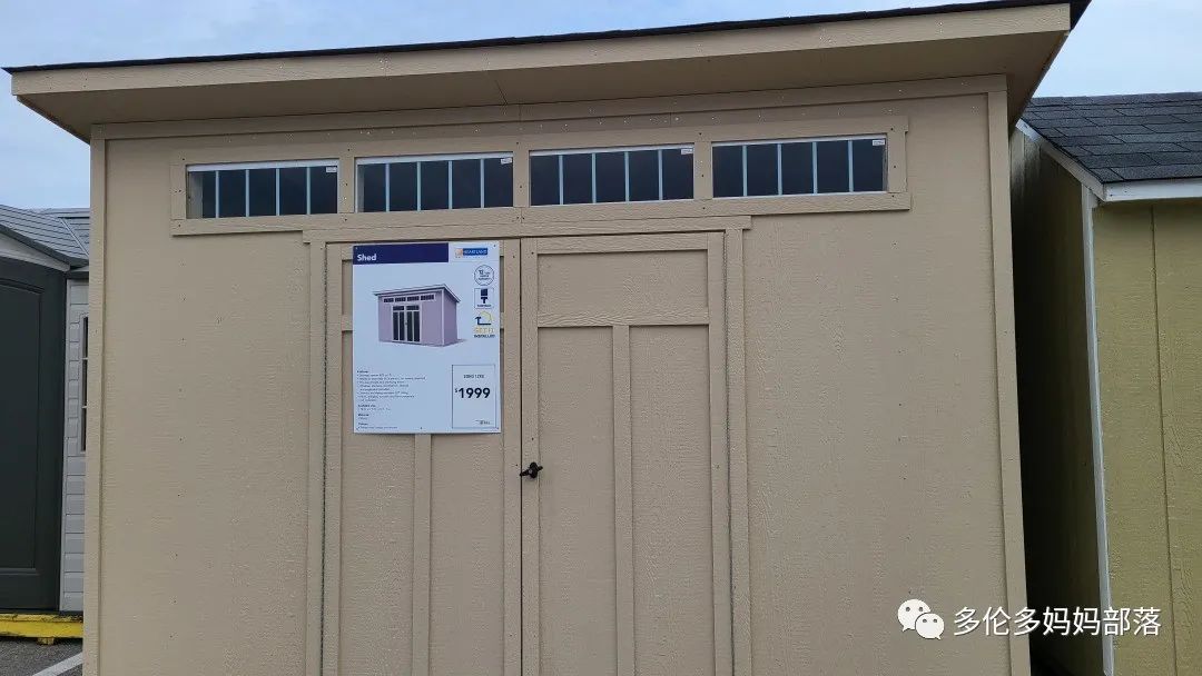 【探店】审美在线的Low's高颜值铁线莲、玫瑰、绿植上架，海量细节生图曝光