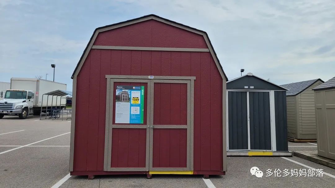 【探店】审美在线的Low's高颜值铁线莲、玫瑰、绿植上架，海量细节生图曝光