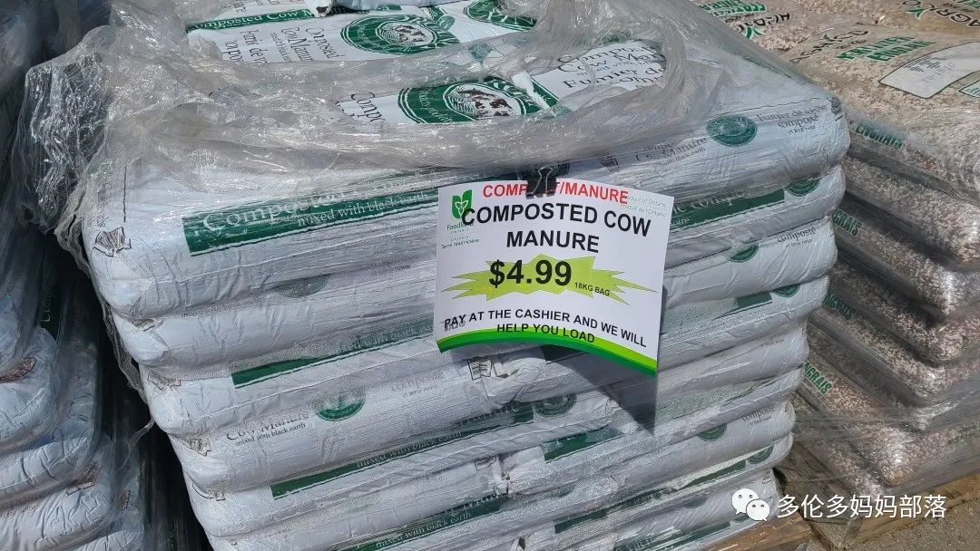 “菜根花大宝贝”探店19街农场菜园子：菜苗又绿又便宜，粪土又肥又多样！