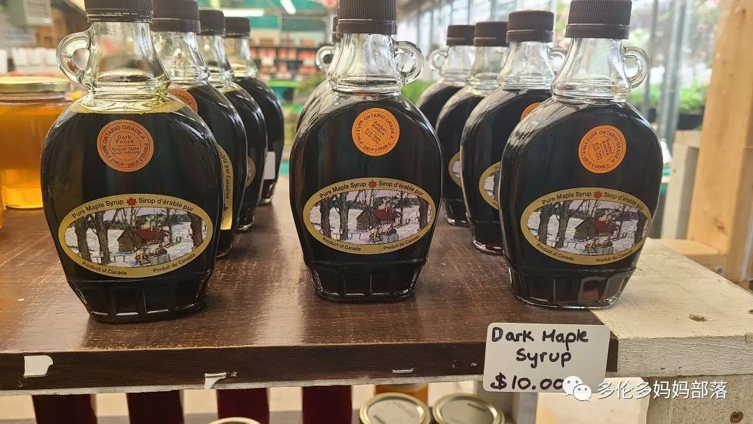 “菜根花大宝贝”探店19街农场菜园子：菜苗又绿又便宜，粪土又肥又多样！