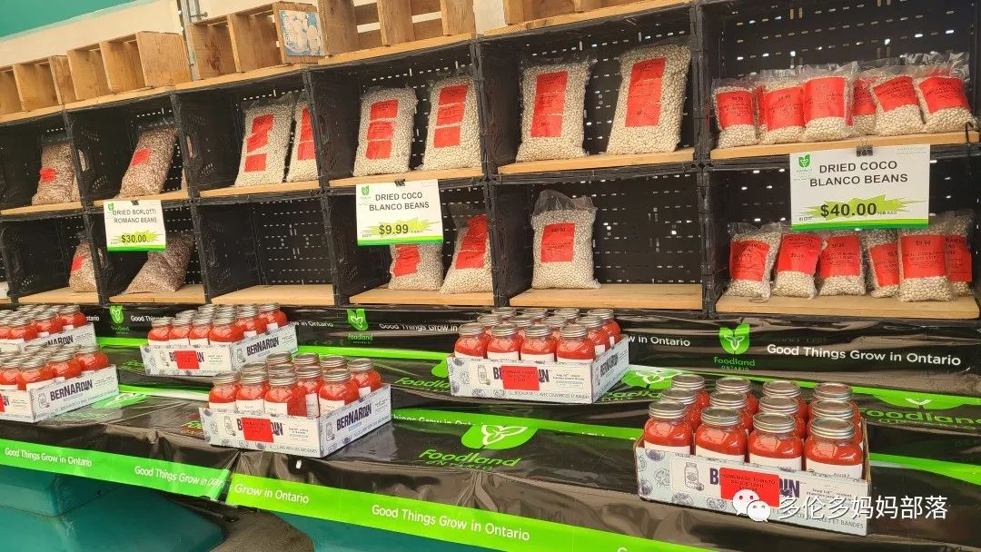 “菜根花大宝贝”探店19街农场菜园子：菜苗又绿又便宜，粪土又肥又多样！