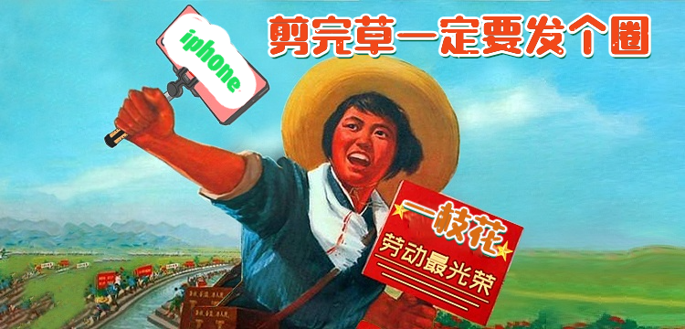 我的个天爷!奋斗半辈子就为在加拿大种草!看园艺狗如何打理草坪 我的个天爷!奋斗半辈子就为在加拿大种草!看园艺狗如何打理草坪