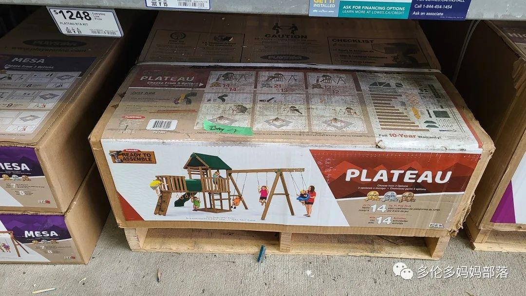 【探店】审美在线的Low's高颜值铁线莲、玫瑰、绿植上架，海量细节生图曝光