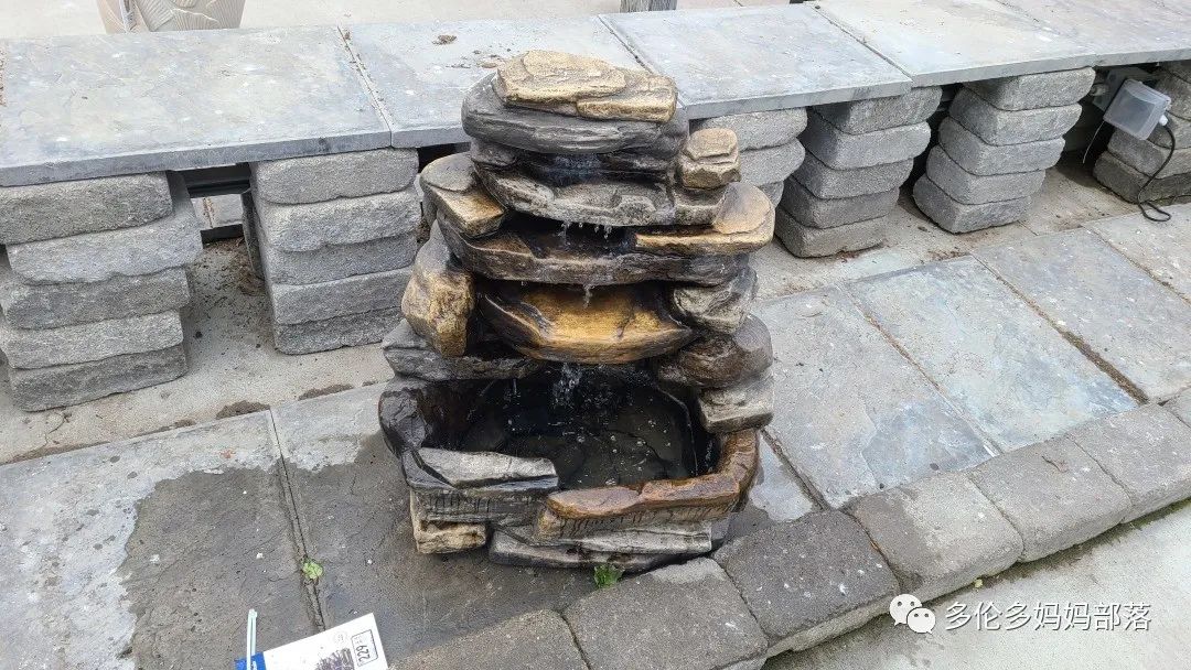 【探店】审美在线的Low's高颜值铁线莲、玫瑰、绿植上架，海量细节生图曝光