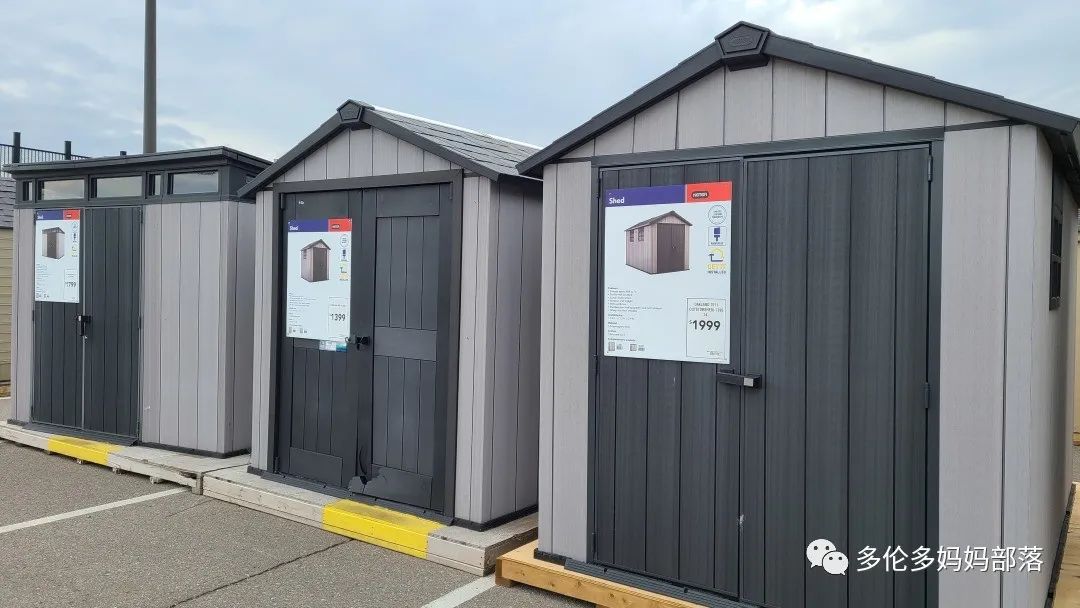 【探店】审美在线的Low's高颜值铁线莲、玫瑰、绿植上架，海量细节生图曝光