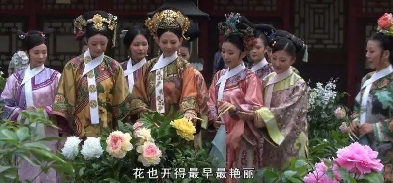 摸鱼RBG隔壁花园：甄嬛传十级学者带你赏芍药赏牡丹赏玉簪