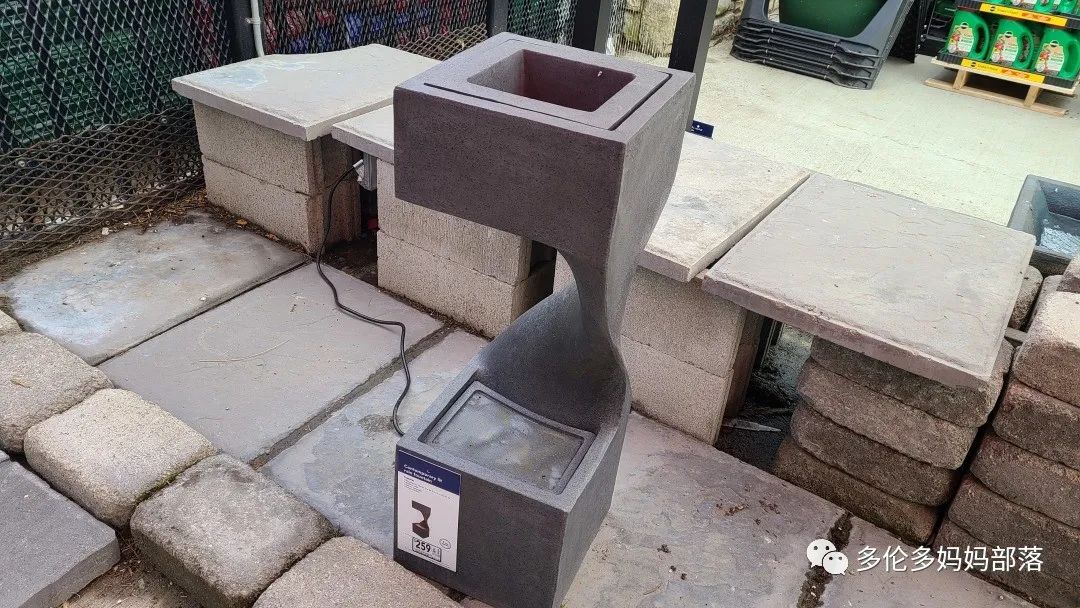 【探店】审美在线的Low's高颜值铁线莲、玫瑰、绿植上架，海量细节生图曝光