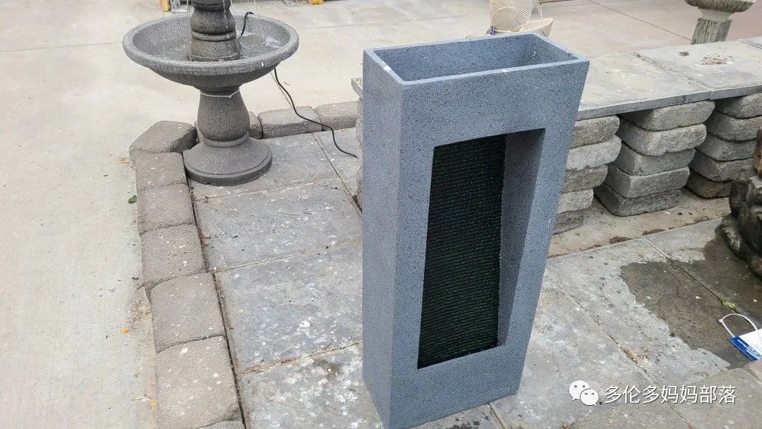 【探店】审美在线的Low's高颜值铁线莲、玫瑰、绿植上架，海量细节生图曝光