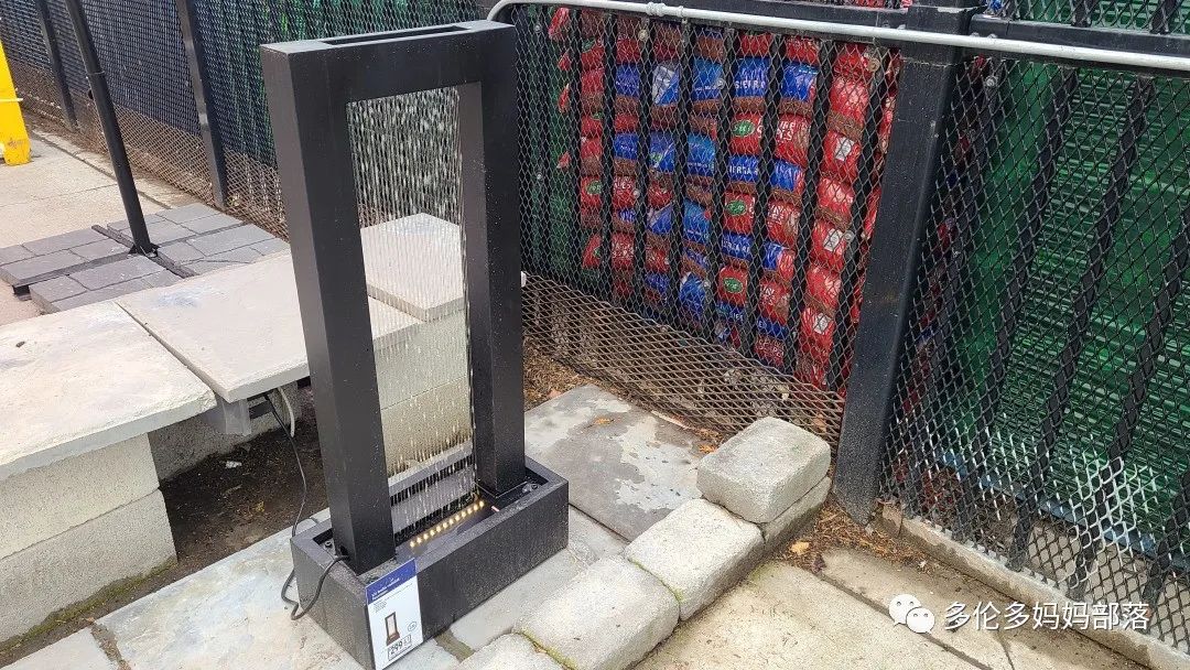 【探店】审美在线的Low's高颜值铁线莲、玫瑰、绿植上架，海量细节生图曝光