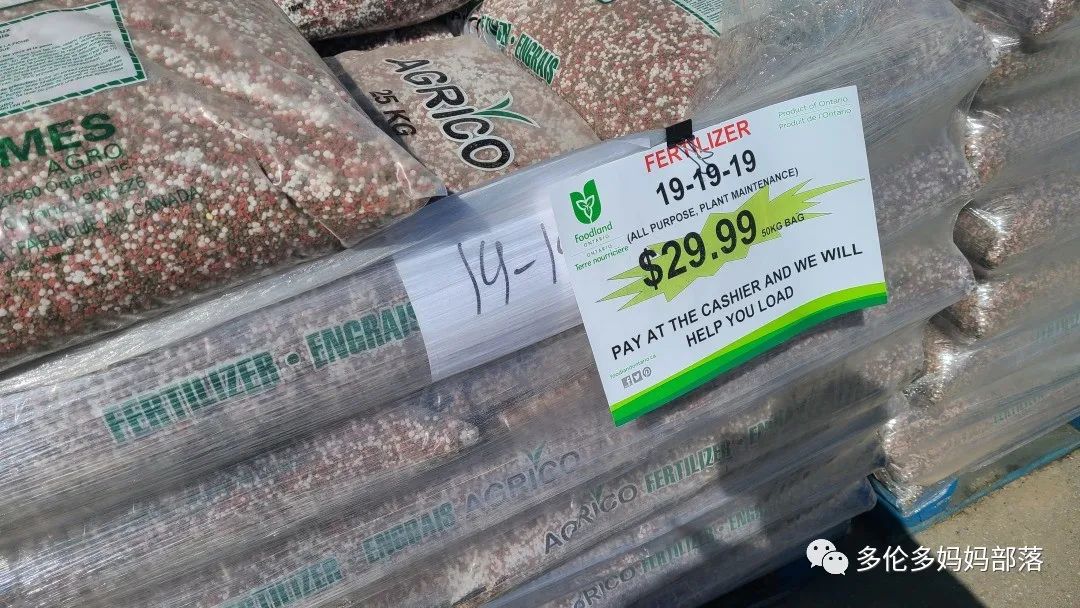 “菜根花大宝贝”探店19街农场菜园子：菜苗又绿又便宜，粪土又肥又多样！