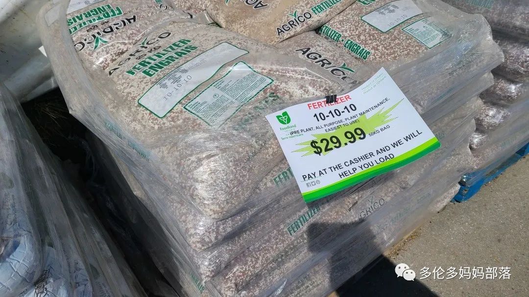 “菜根花大宝贝”探店19街农场菜园子：菜苗又绿又便宜，粪土又肥又多样！