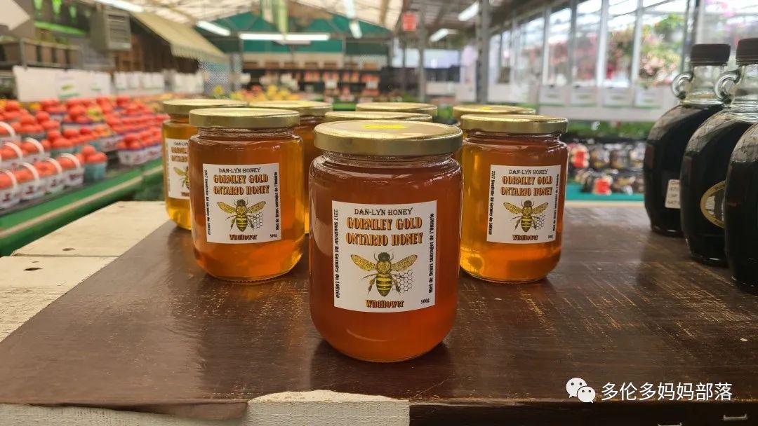 “菜根花大宝贝”探店19街农场菜园子：菜苗又绿又便宜，粪土又肥又多样！