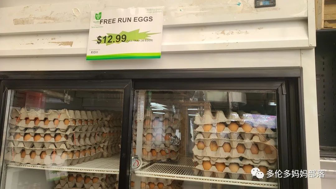 “菜根花大宝贝”探店19街农场菜园子：菜苗又绿又便宜，粪土又肥又多样！