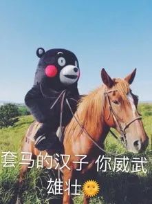 我的个天爷！奋斗半辈子就为在加拿大种草！看园艺狗如何打理草坪
