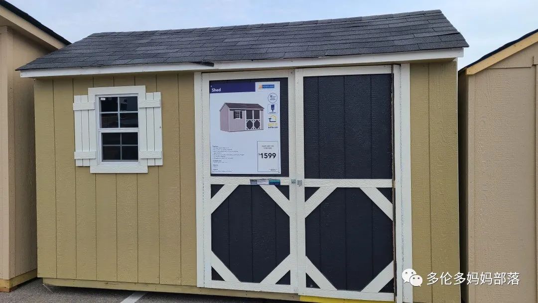 【探店】审美在线的Low's高颜值铁线莲、玫瑰、绿植上架，海量细节生图曝光