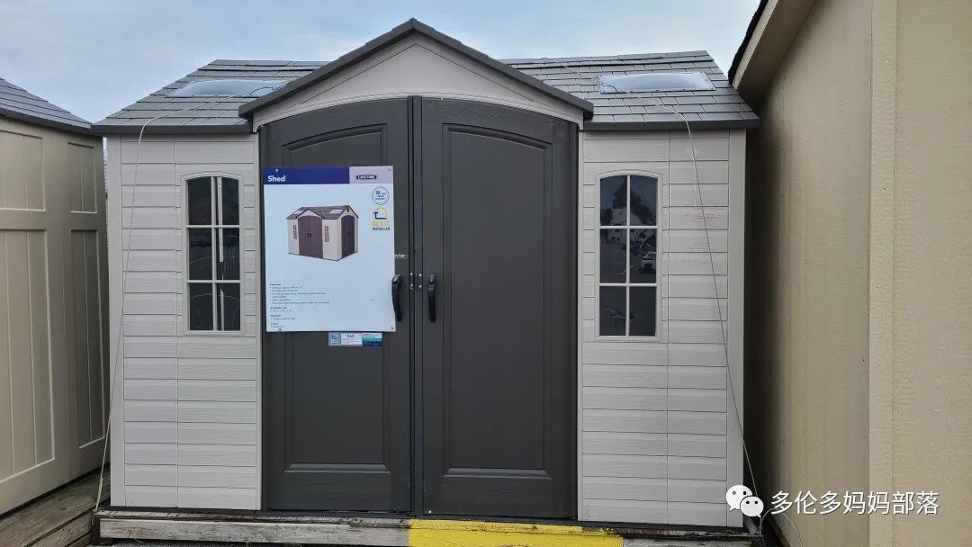 【探店】审美在线的Low's高颜值铁线莲、玫瑰、绿植上架，海量细节生图曝光