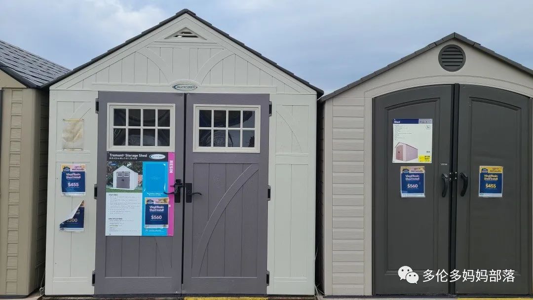 【探店】审美在线的Low's高颜值铁线莲、玫瑰、绿植上架，海量细节生图曝光