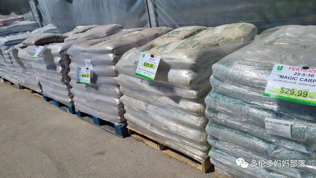 “菜根花大宝贝”探店19街农场菜园子：菜苗又绿又便宜，粪土又肥又多样！