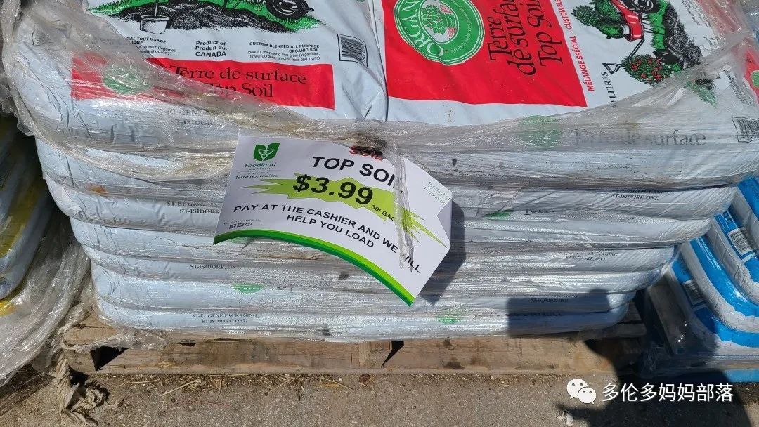 “菜根花大宝贝”探店19街农场菜园子：菜苗又绿又便宜，粪土又肥又多样！