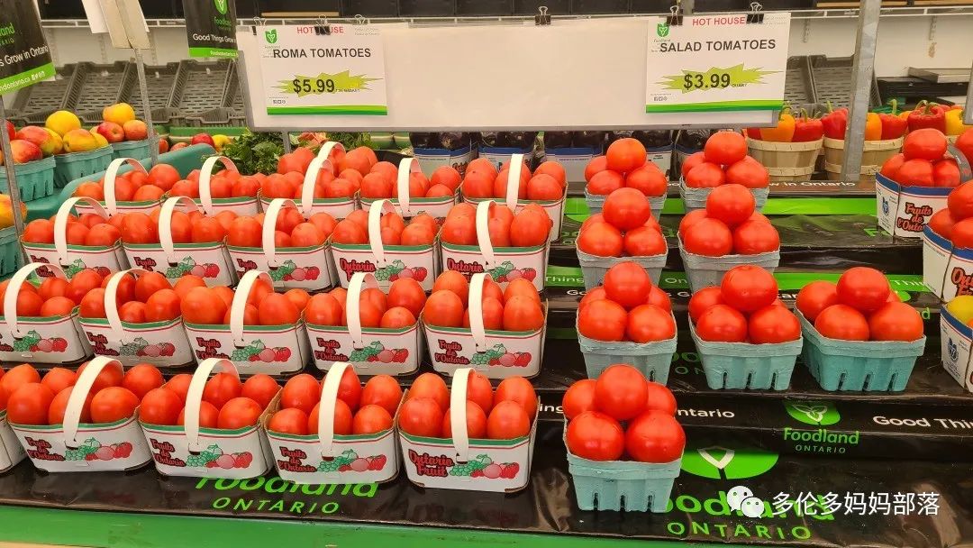 “菜根花大宝贝”探店19街农场菜园子：菜苗又绿又便宜，粪土又肥又多样！