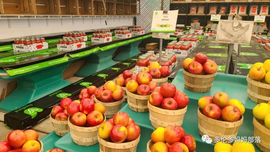 “菜根花大宝贝”探店19街农场菜园子：菜苗又绿又便宜，粪土又肥又多样！