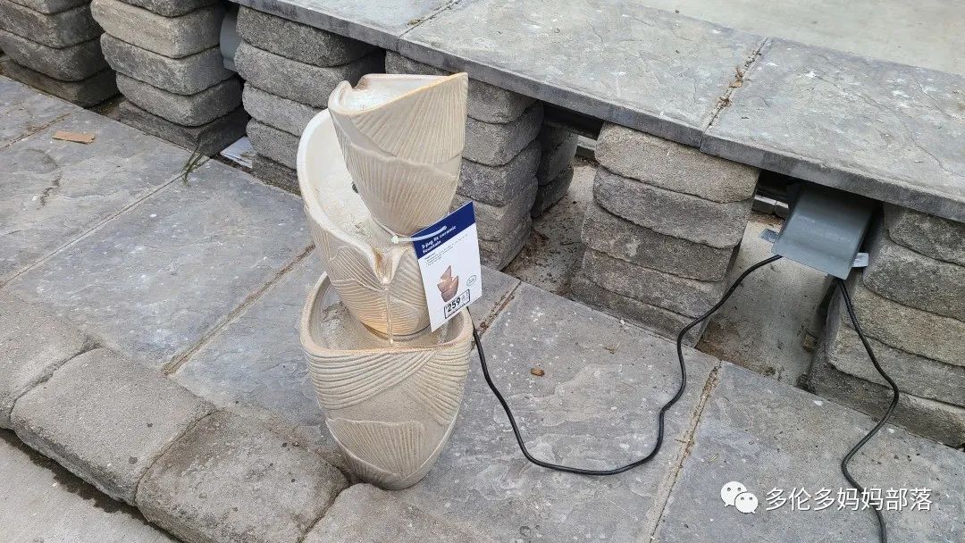 【探店】审美在线的Low's高颜值铁线莲、玫瑰、绿植上架，海量细节生图曝光